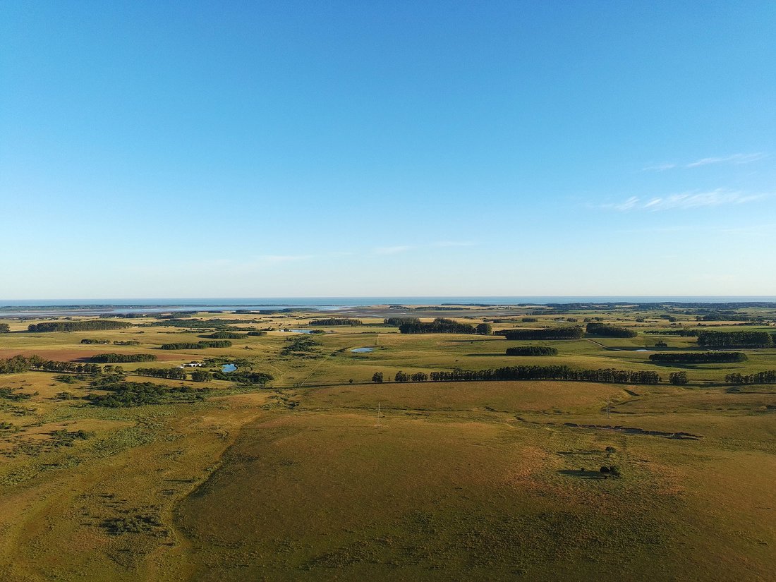 Farm Ranch in Chacras de Medellin Sur Lac, Maldonado Department, Uruguay 1 - 16818862