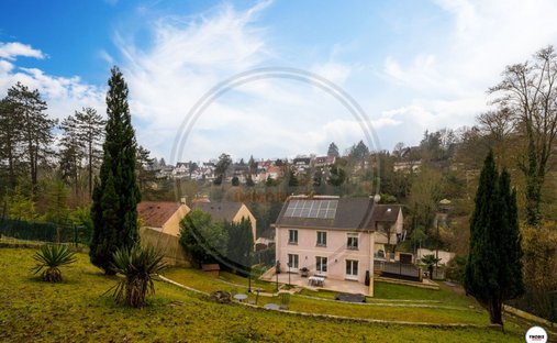 Manor For Sale, 12 Rooms Triel Sur Seine 78510