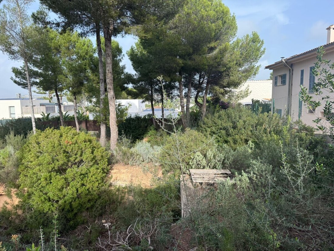 Land in Santa Ponsa, Balearic Islands, Spain 4 - 16816425