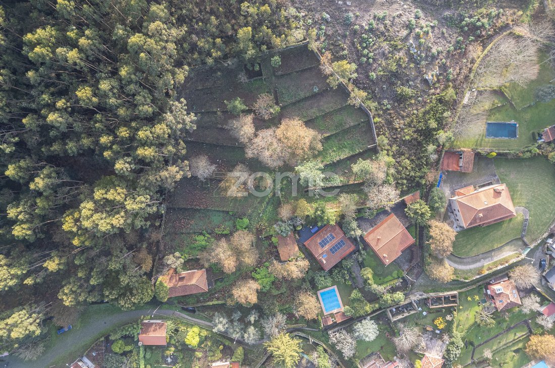 Finca in Afife, Viana do Castelo District, Portugal 5 - 16816652