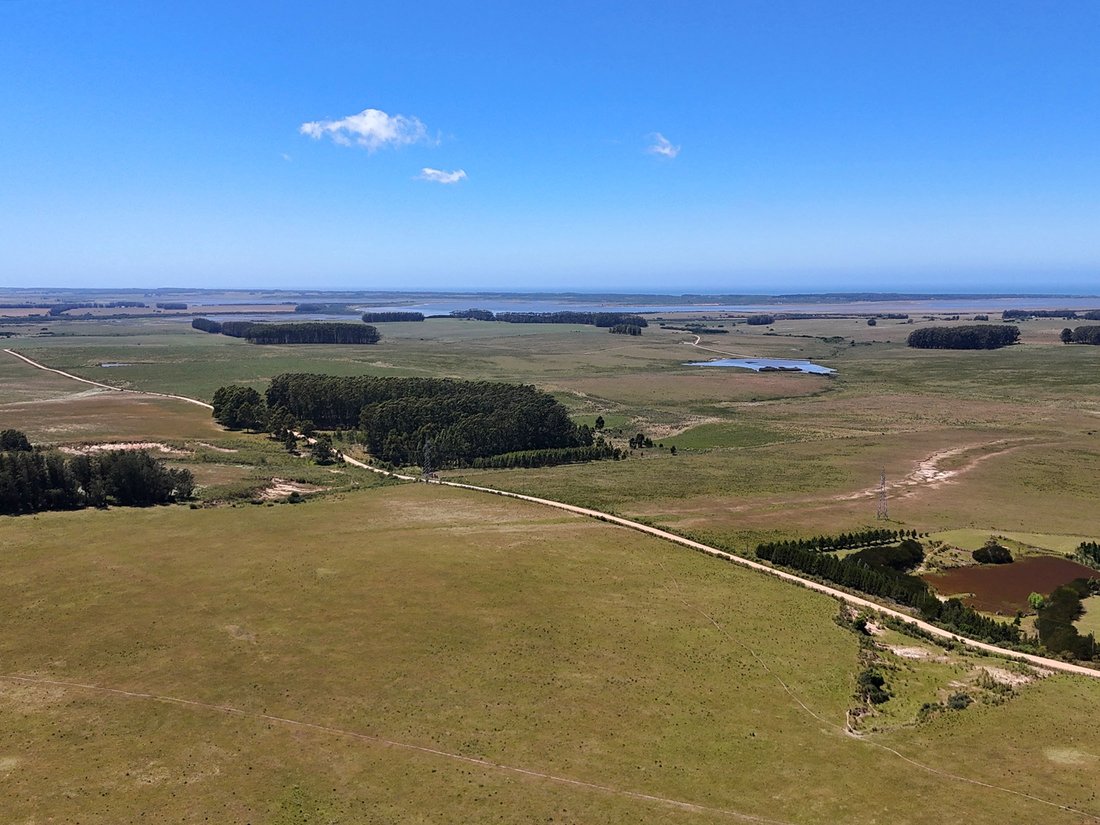 Farm Ranch in Chacras de Medellin Sur Lac, Maldonado Department, Uruguay 5 - 16818862