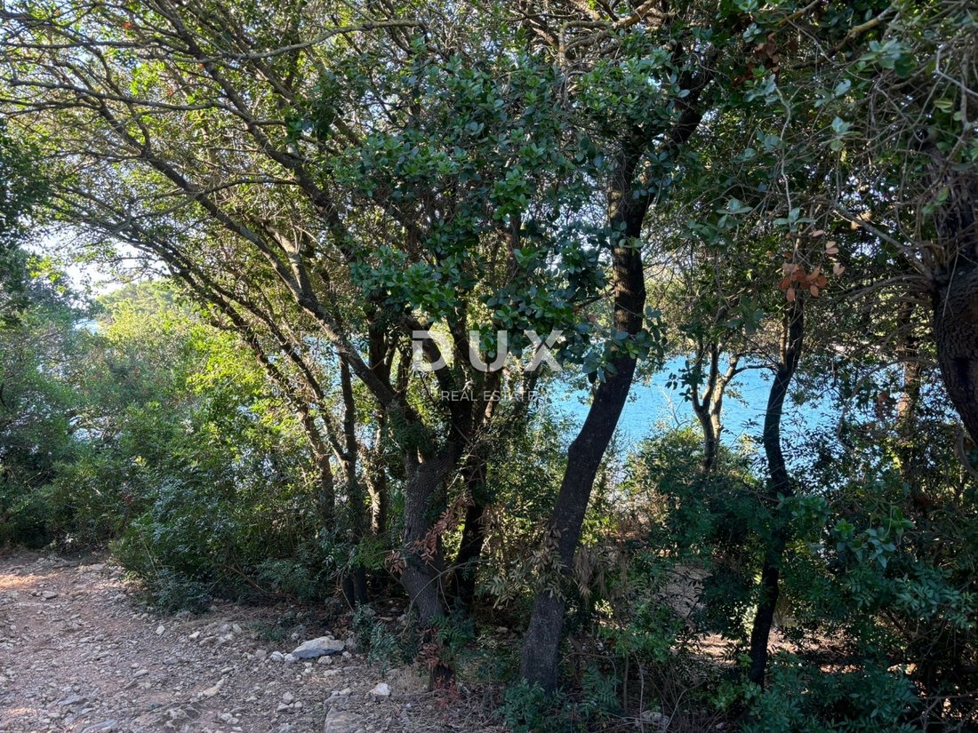 House in Grad Pula, Istria County, Croatia 2 - 16817361