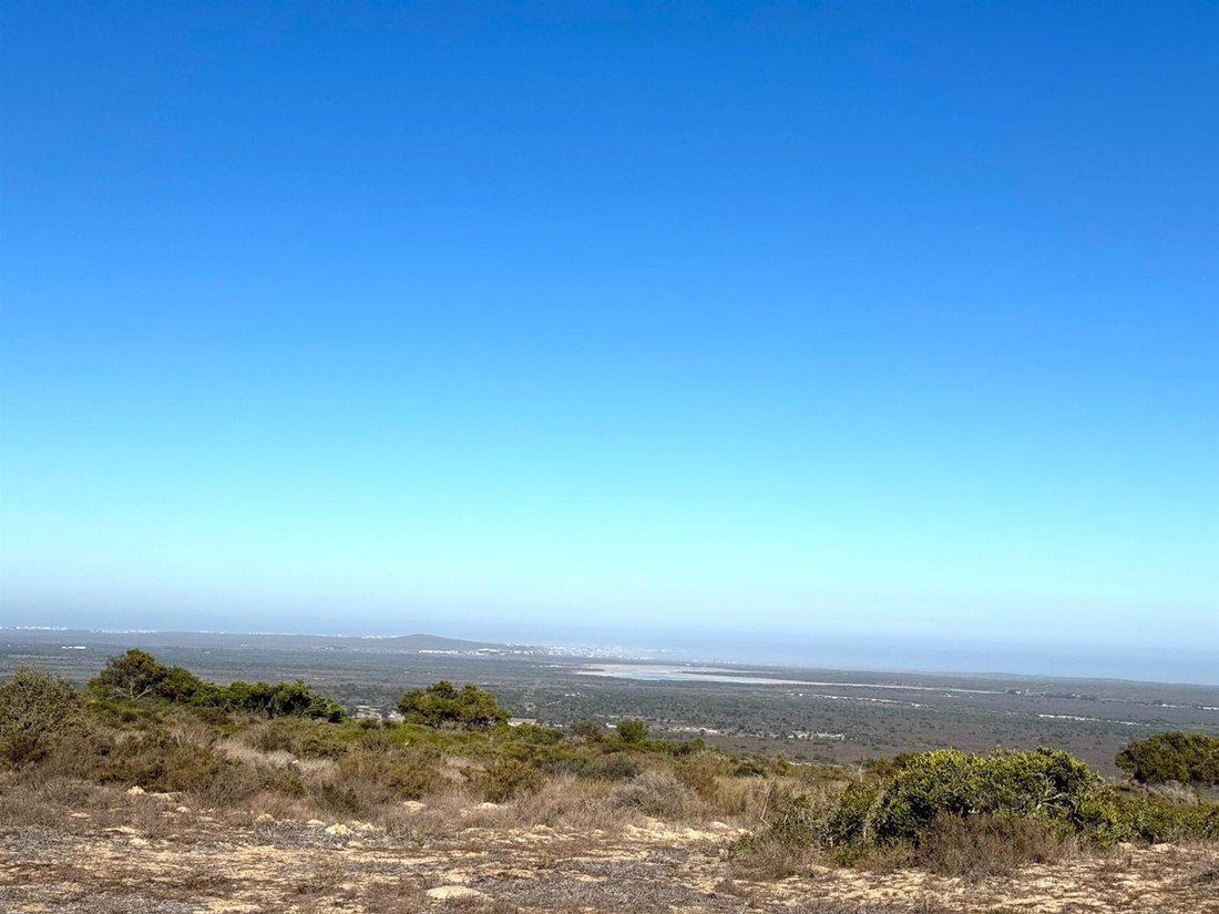 Farm Ranch in Swartland Local Municipality, Western Cape, South Africa 2 - 16105596