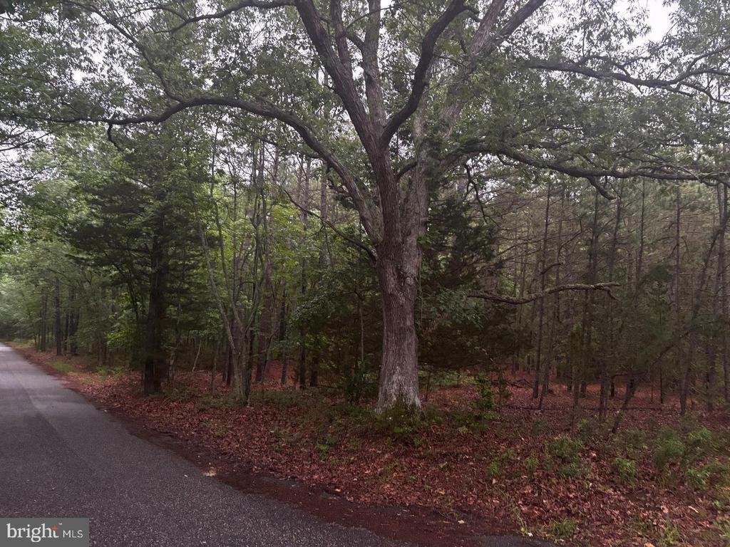Land in Hamilton Township, New Jersey, United States 2 - 16816676
