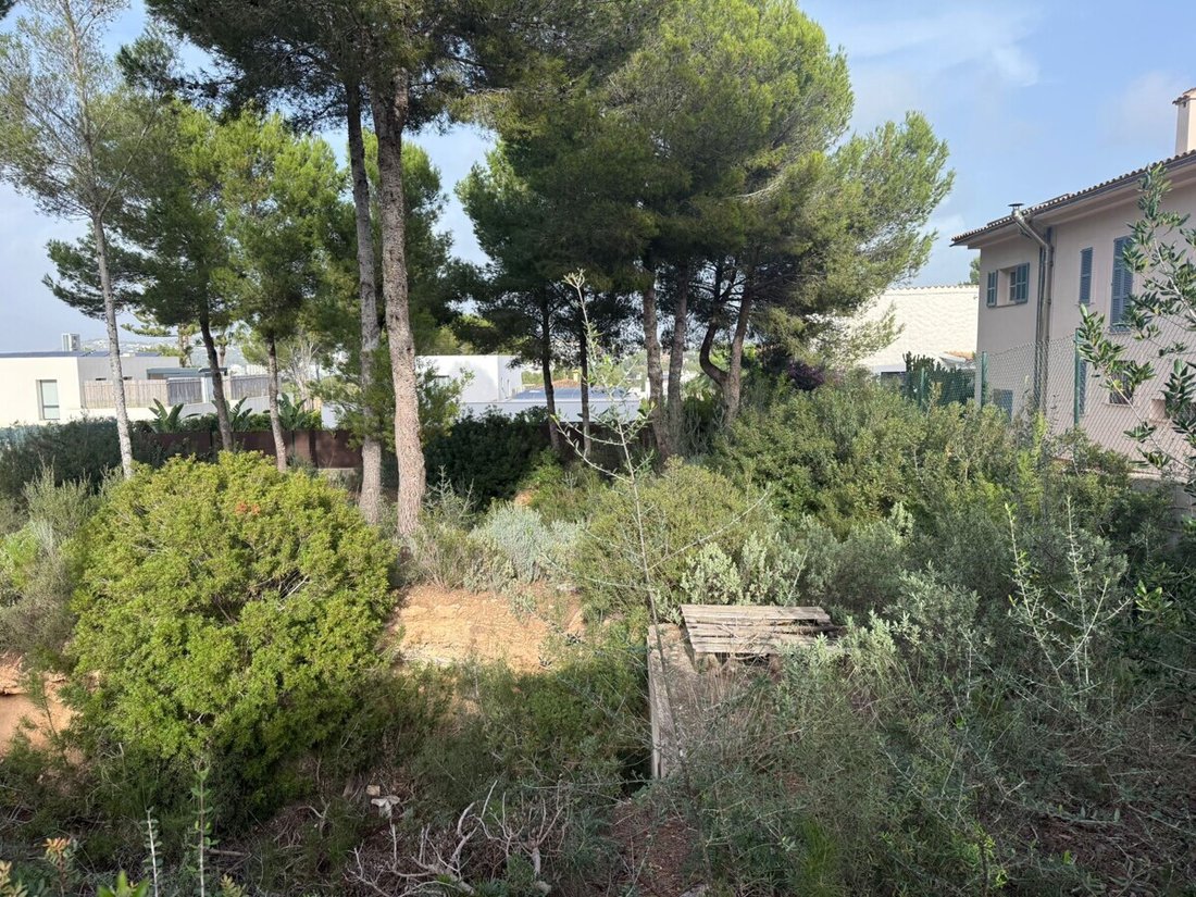 Land in Santa Ponsa, Balearic Islands, Spain 5 - 16816425
