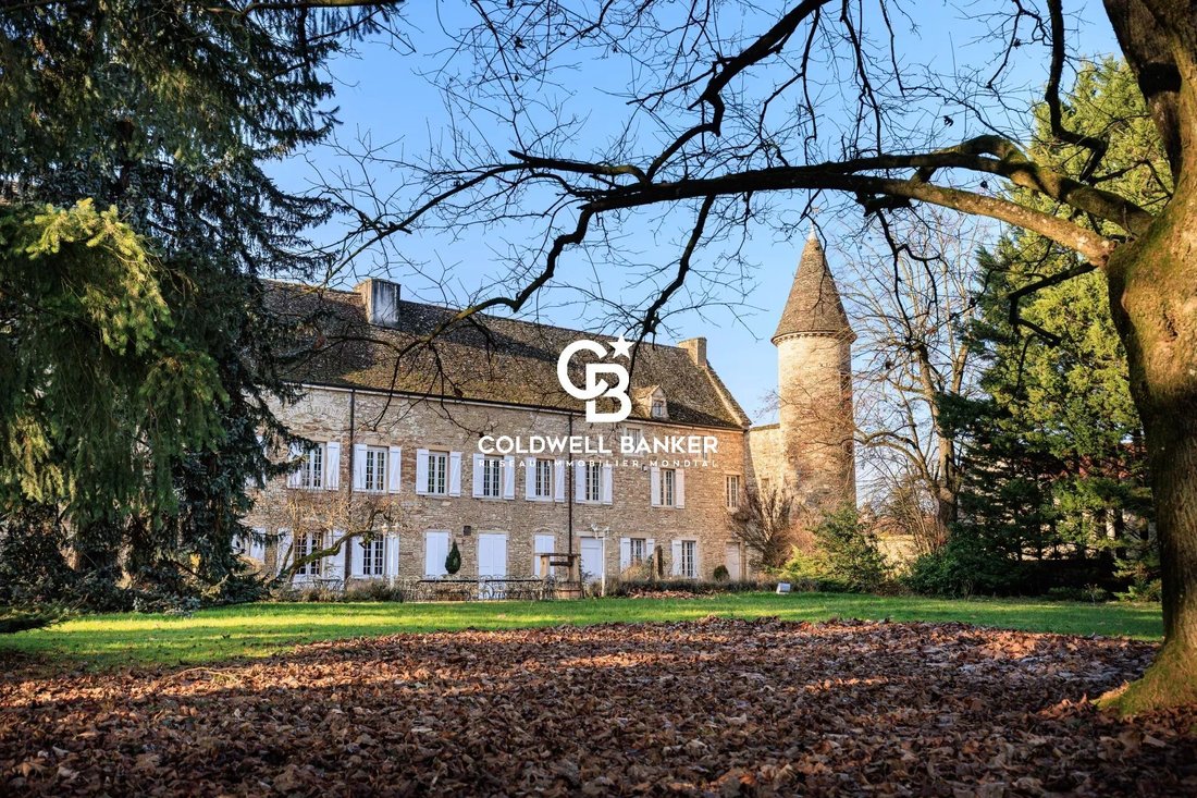 Castle in Fleurville, Bourgogne – Franche-Comté, France 3 - 16814334