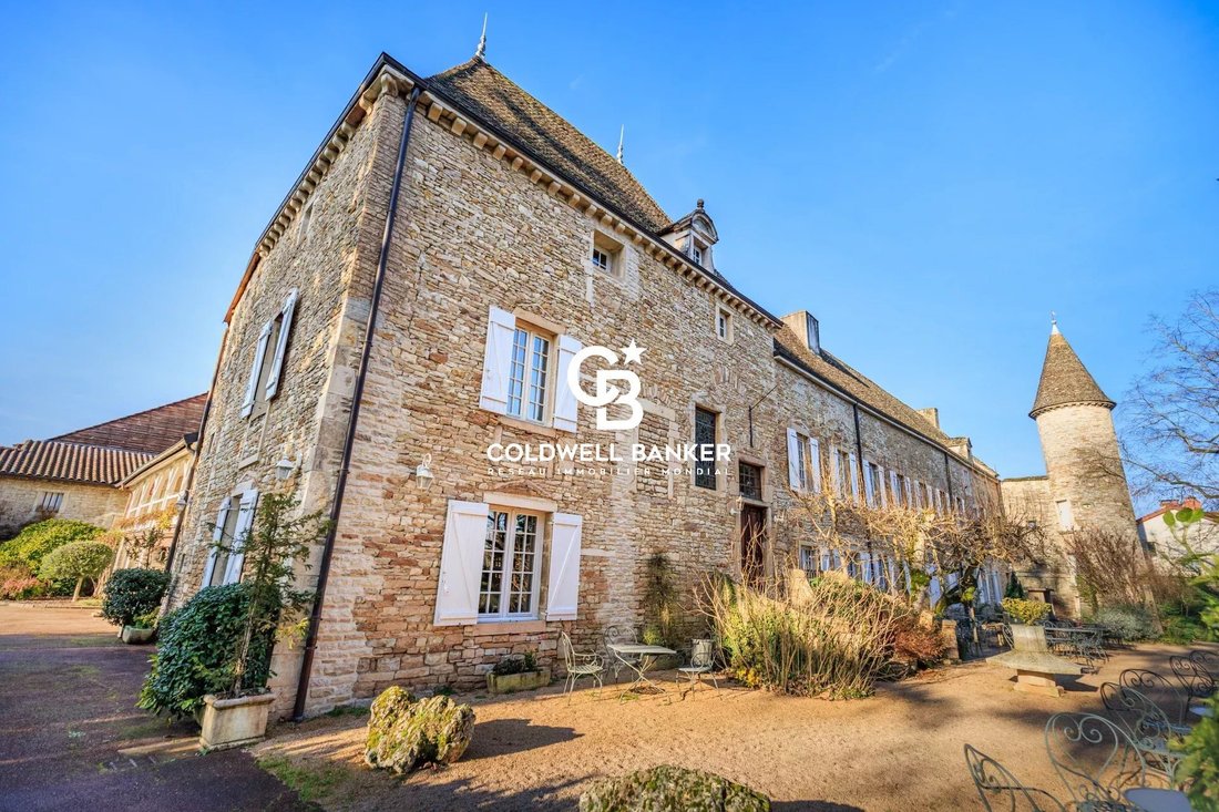 Castle in Fleurville, Bourgogne – Franche-Comté, France 5 - 16814334