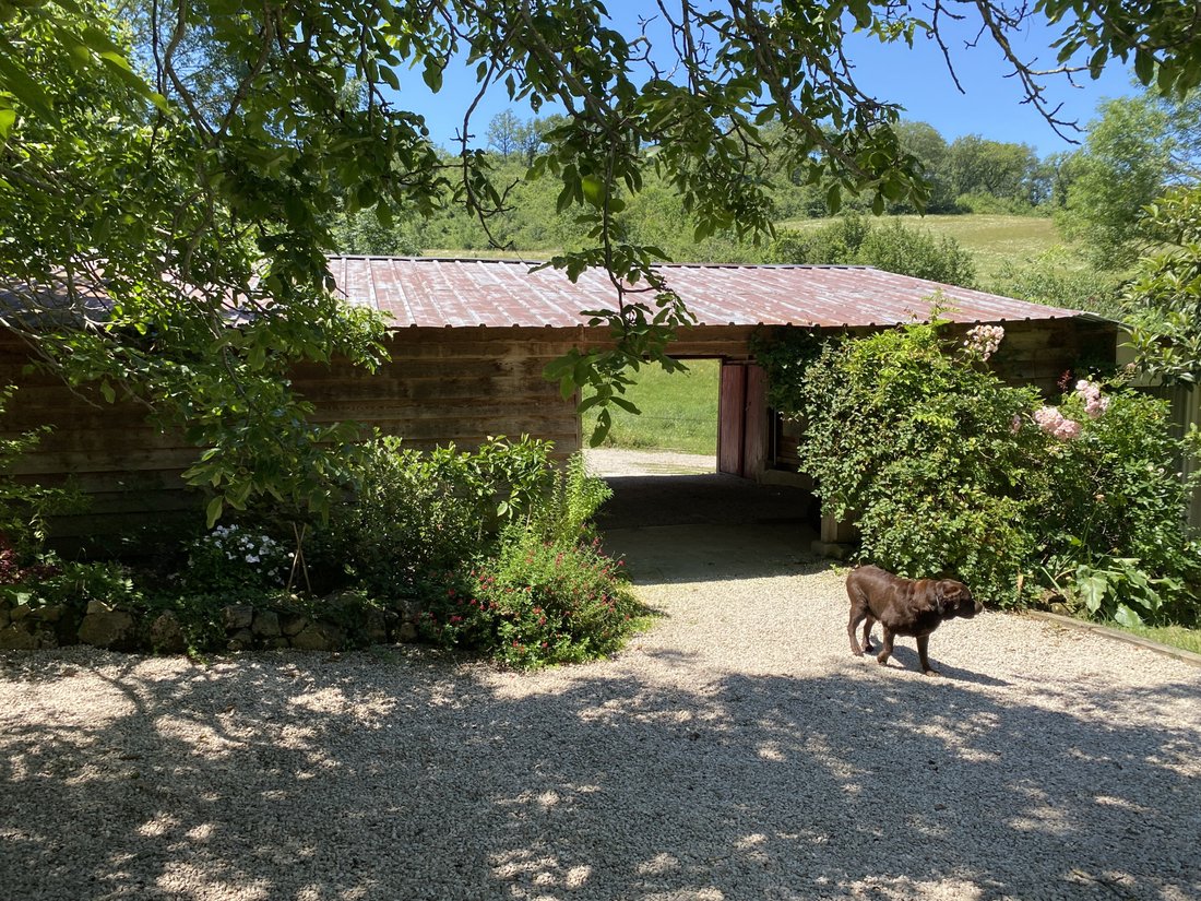 House in Mirepoix, Occitania, France 4 - 16118854
