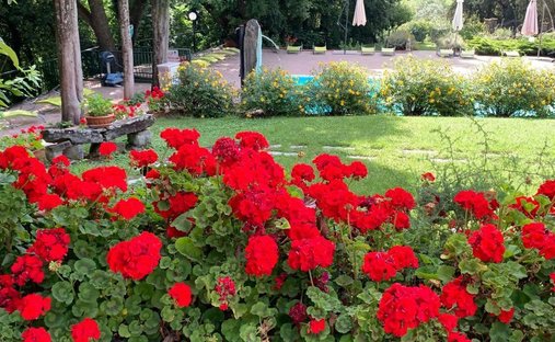 Millennial Castle In The Hills Of Arezzo