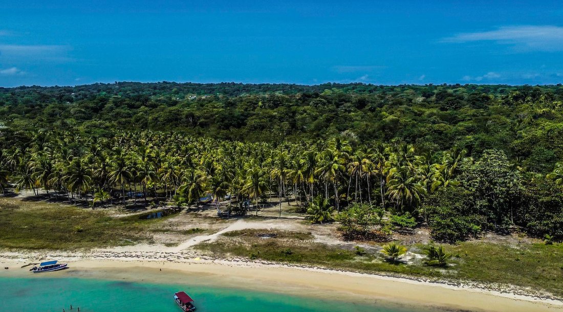 Land in Salt Creek, Bocas del Toro Province, Panama 1 - 16819320