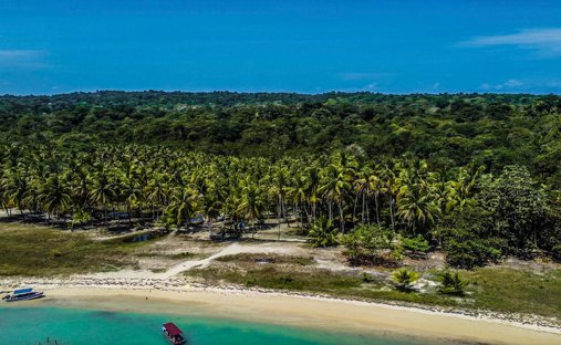 Terreno a Salt Creek, Provincia di Bocas del Toro, Panamá 1