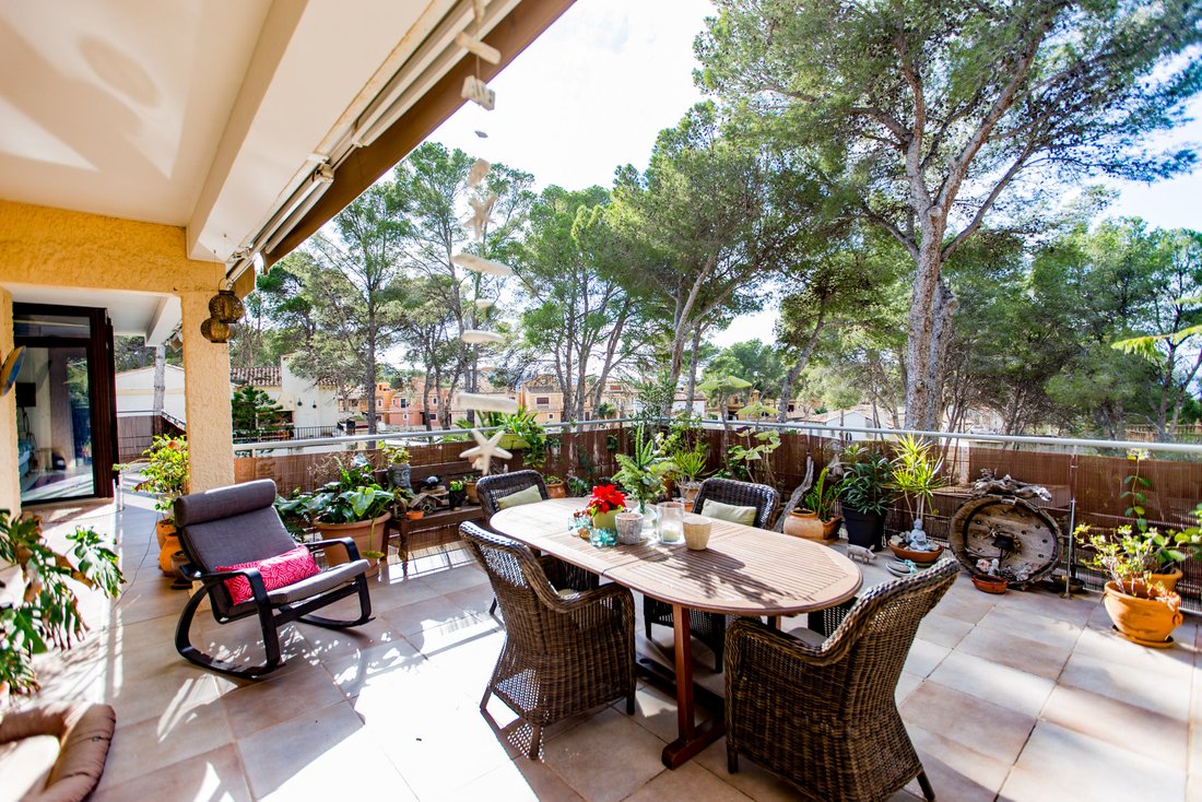 Chalet in Costa de la Calma, Calvia, Balearic Islands 3 - 16819426