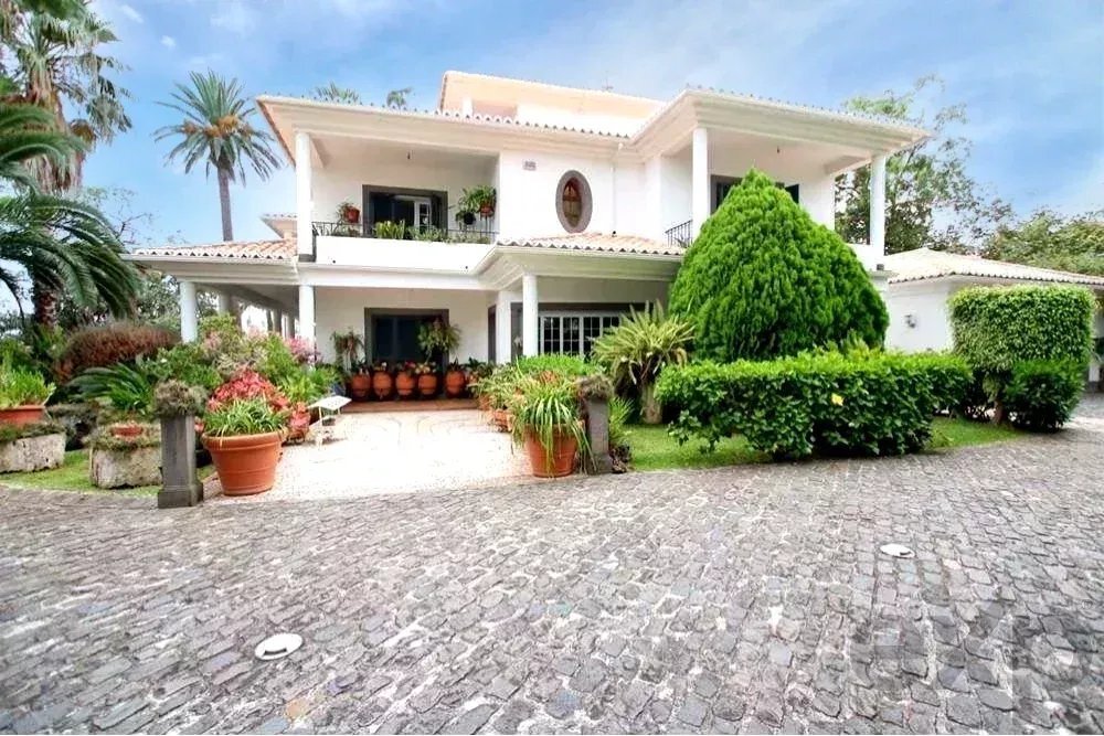 House in Santo Antonio, Madeira, Portugal 3 - 15831290