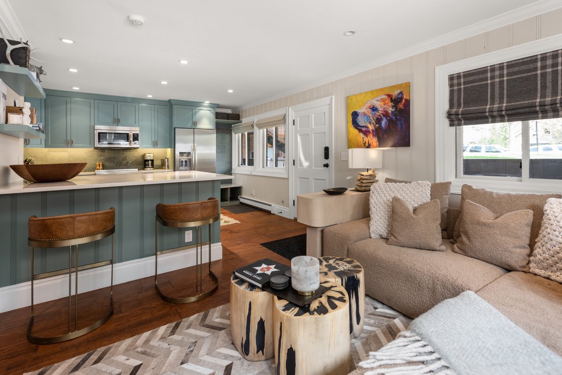 Condo in Aspen, Colorado, United States 3 - 16820171