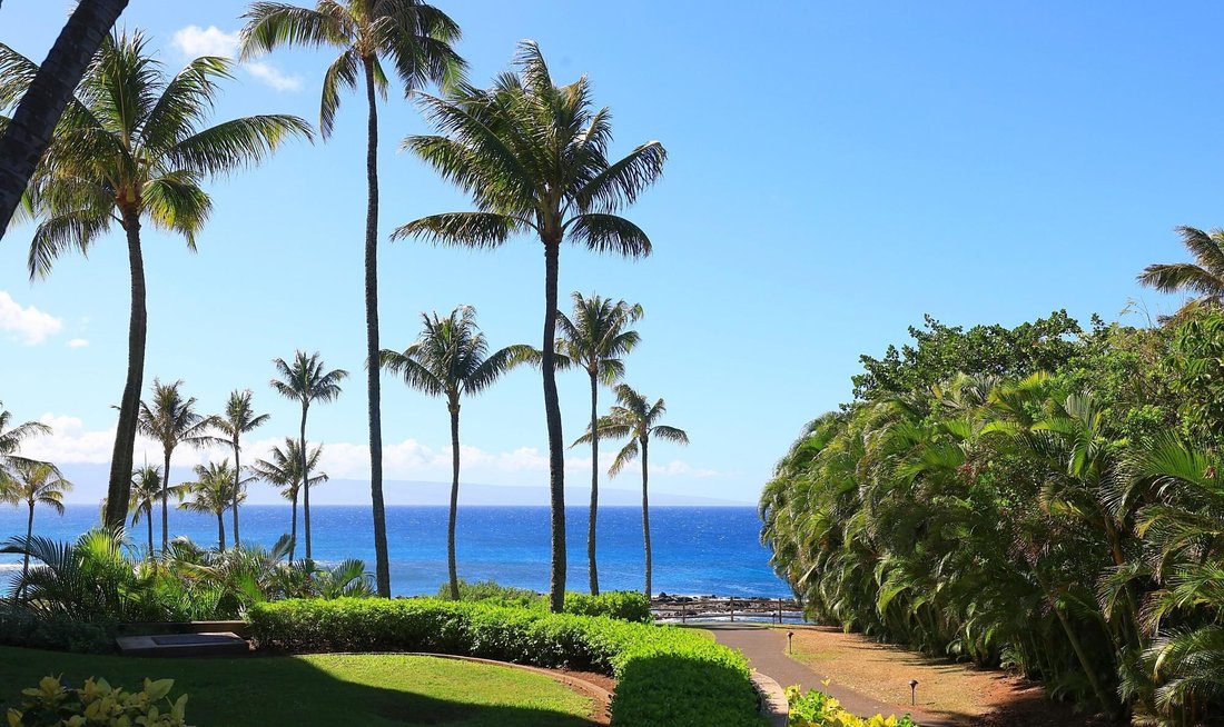 Condo in Lahaina, Hawaii, United States 1 - 16753780