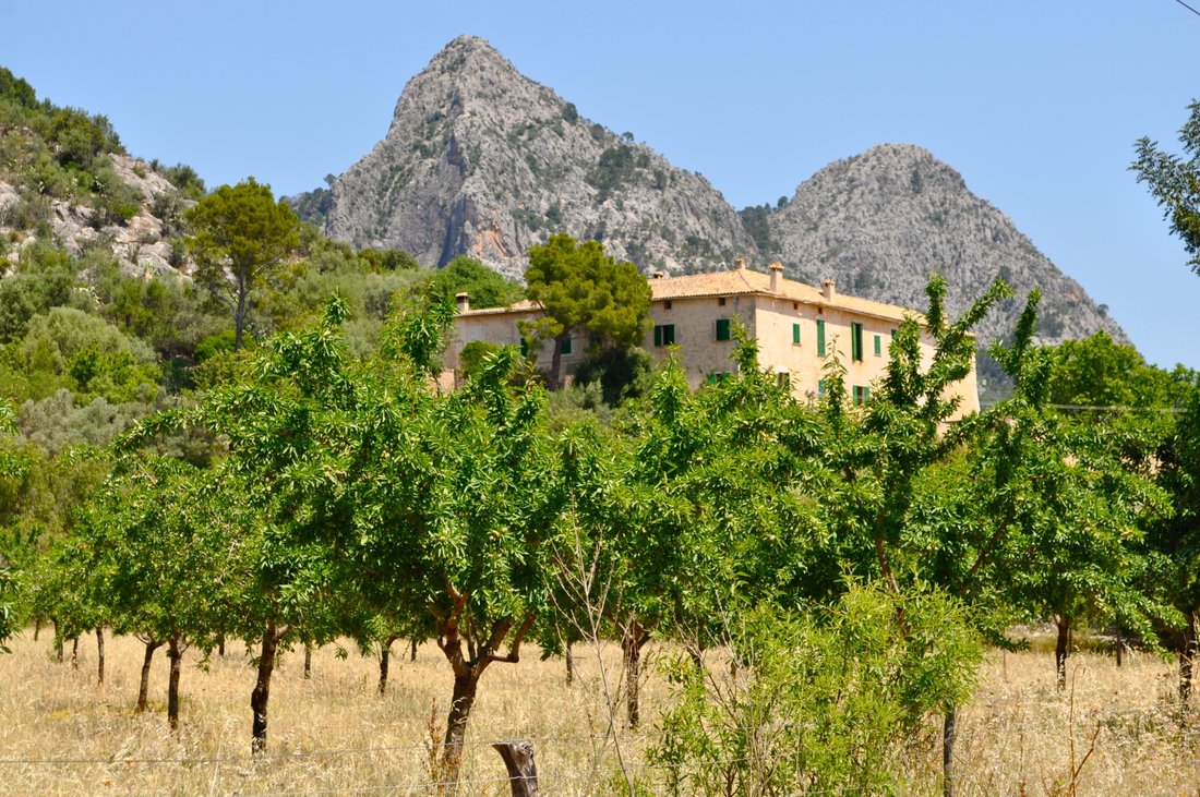 Finca a Bunyola, Isole Baleari, Spagna 1 - 16819884