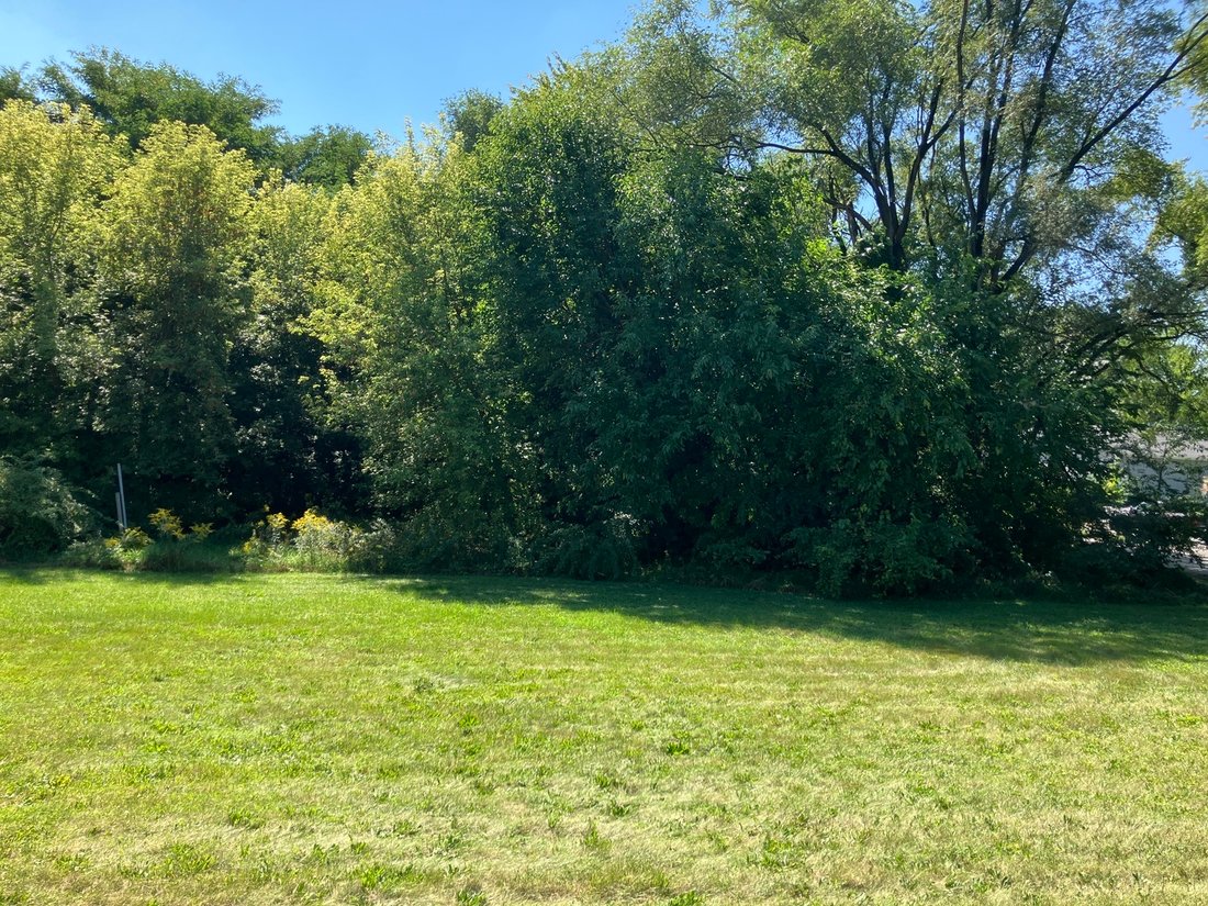 House in Roselle, Illinois, United States 3 - 16821489