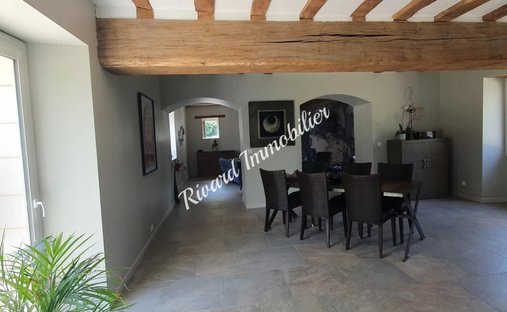 Beautiful 19th C. Chateau On The Banks Of The Loire River, 25 Minutes From Angers.