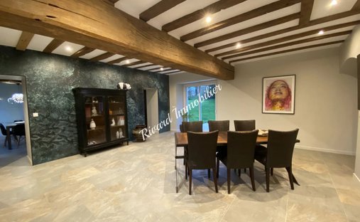 Beautiful 19th C. Chateau On The Banks Of The Loire River, 25 Minutes From Angers.