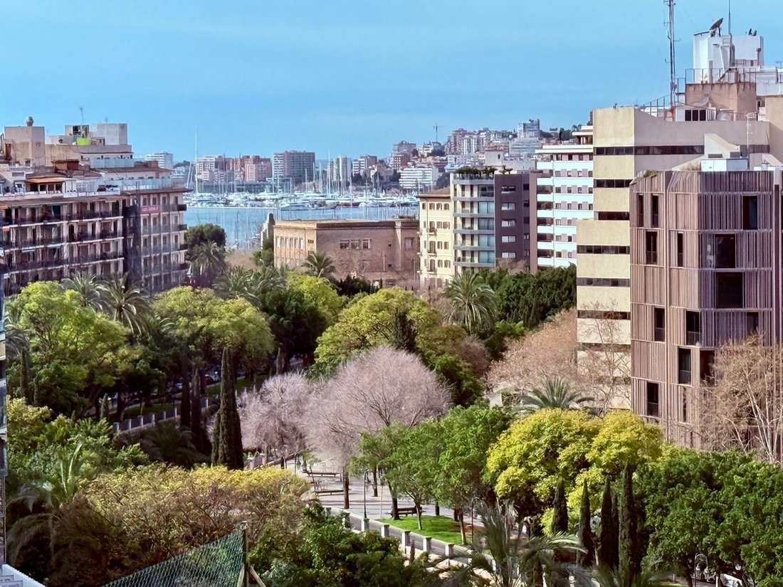 Apartment in Palma, Balearic Islands, Spain 1 - 16823197