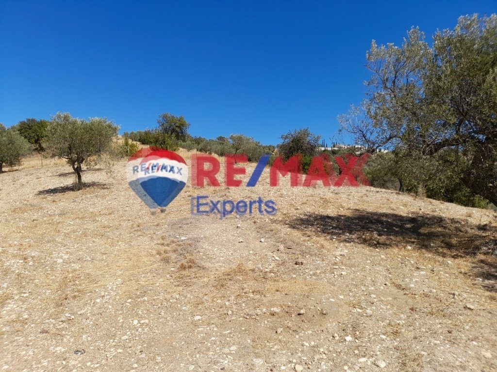 Land in Koinotita Kranidiou, Kranidi, Greece 5 - 16822680