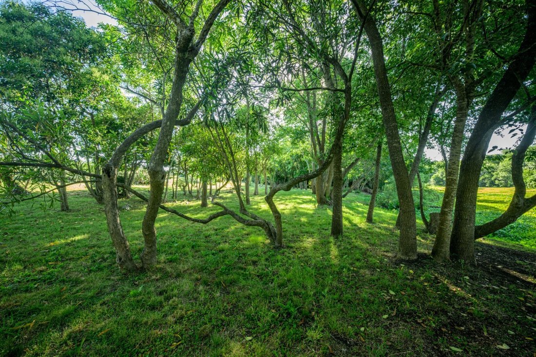 Farm Ranch in Pando, Canelones Department, Uruguay 4 - 16822939