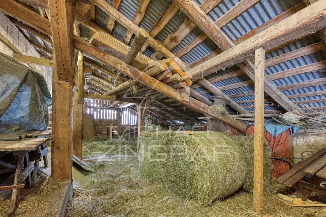 Farm Ranch in Demi-Quartier, Auvergne-Rhône-Alpes, France 1 - 16821240