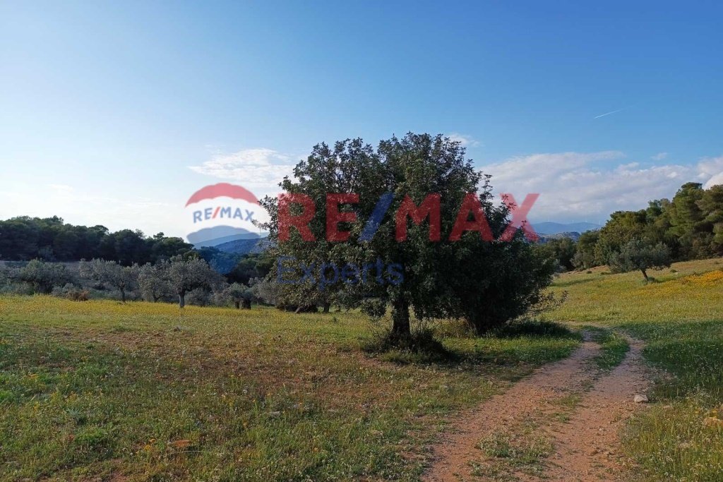 Land in Ermioni, Peloponnese, Western Greece and the Ionian, Greece 1 - 16822670