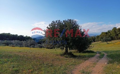 Land in Ermioni, Peloponnese, Western Greece and the Ionian, Greece 1