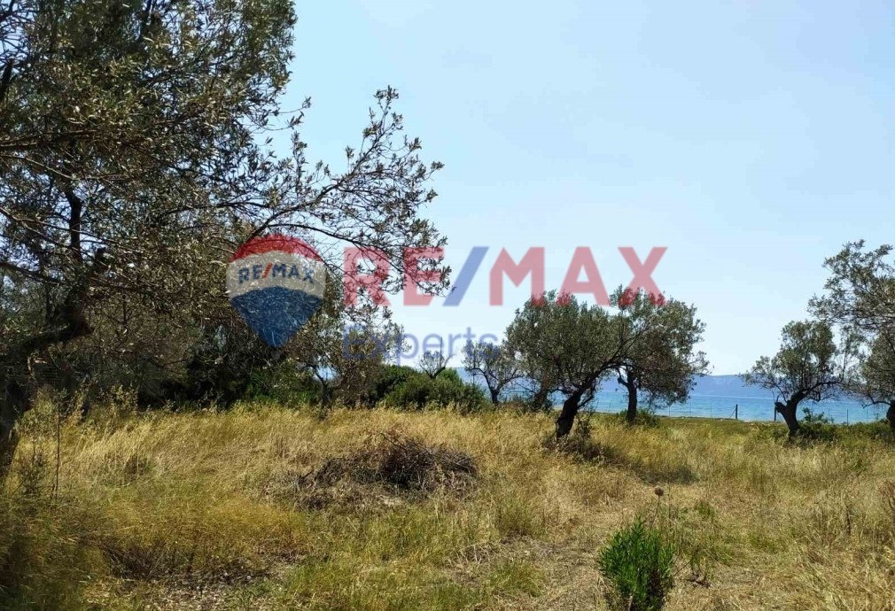 Land in Ermioni, Peloponnese, Western Greece and the Ionian, Greece 5 - 16822681