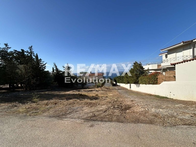Land in Kropia, Attica, Greece 1 - 16819559