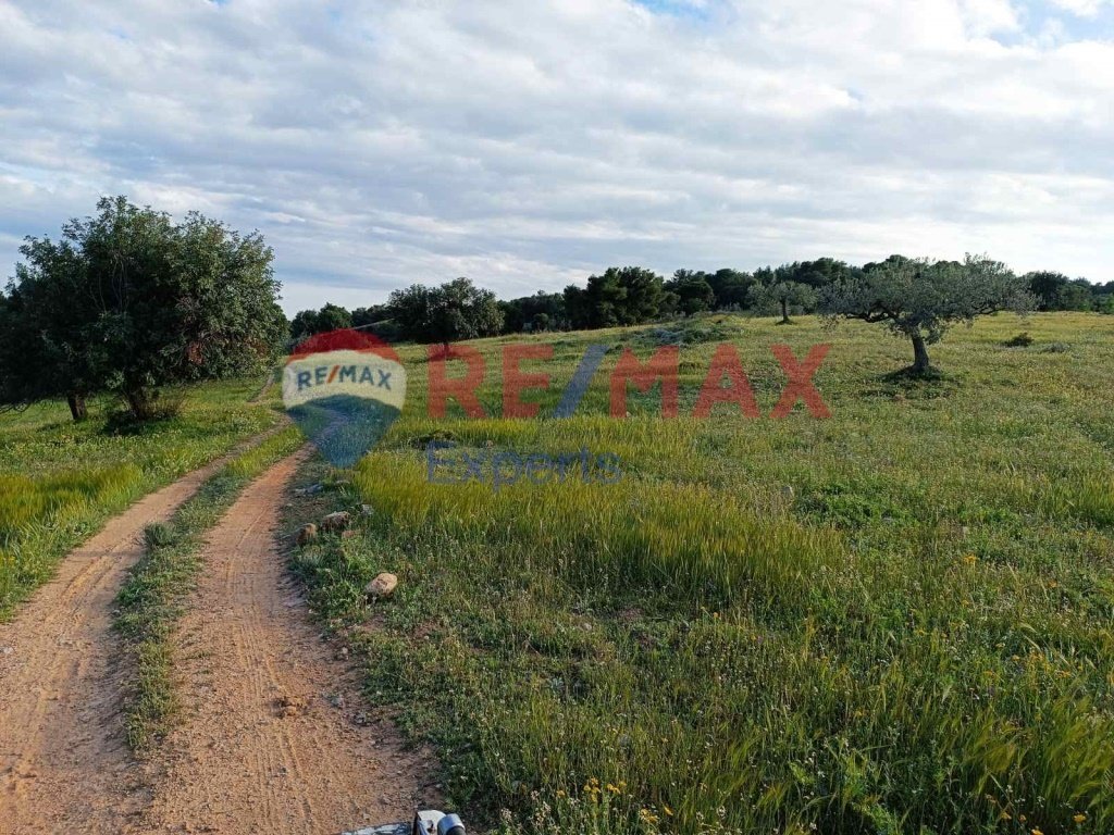 Land in Ermioni, Peloponnese, Western Greece and the Ionian, Greece 5 - 16822670