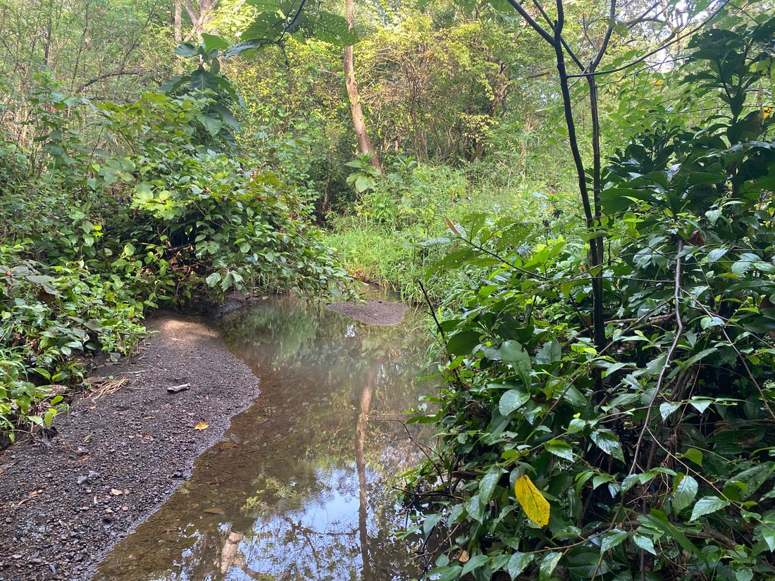 Land in Junquillal, Santa Cruz, Costa Rica 5 - 16820882