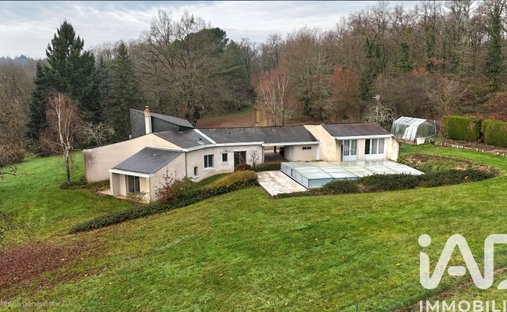 Château For Sale Near Tours