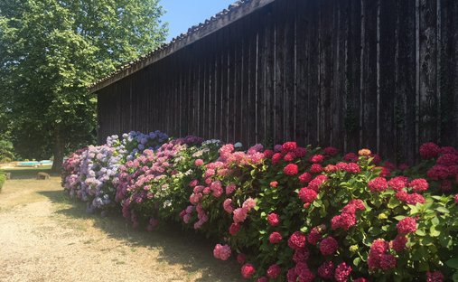 16th C Castle With Outbuildings, Perfectly Renovated