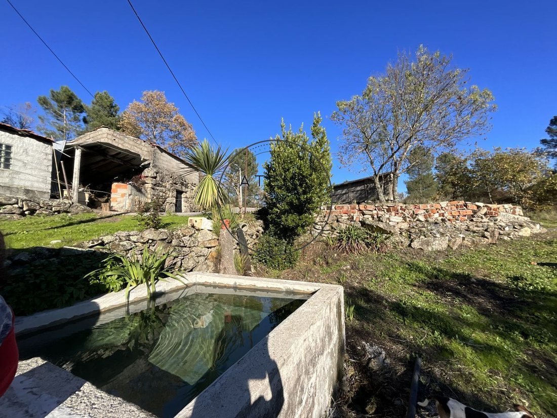 Farm Ranch in Mondroes, Vila Real District, Portugal 5 - 16819932