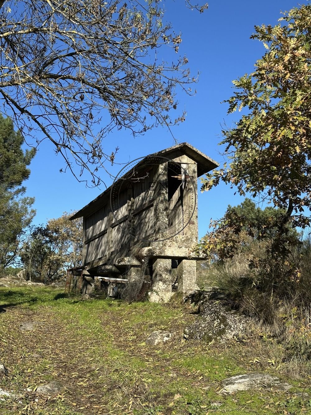 Farm Ranch in Mondroes, Vila Real District, Portugal 3 - 16819932