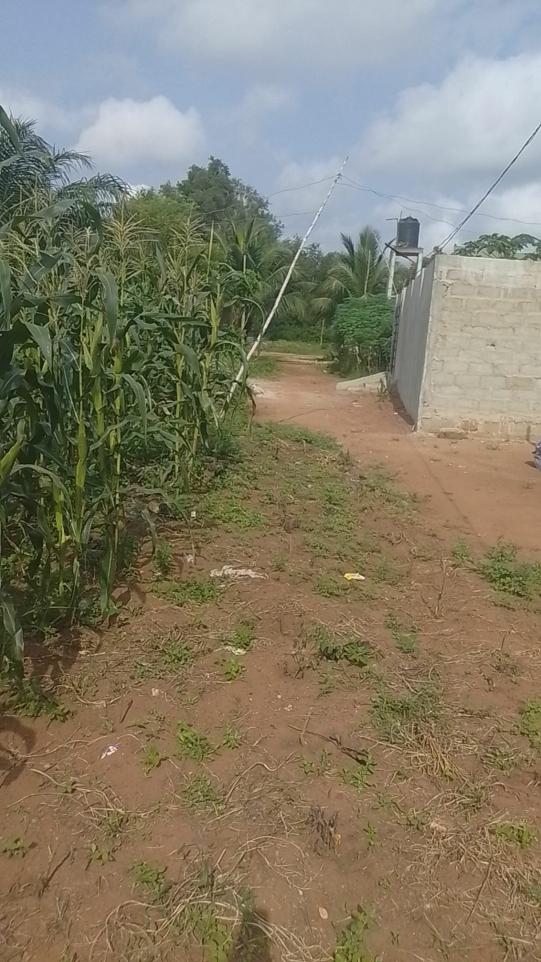 Land in Abomey Calavi, Atlantique Department, Benin 1 - 16822530