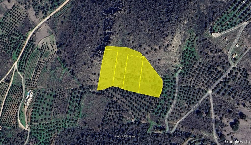Land in Community of Kavousi, Ierapetra, Greece 3 - 16823241