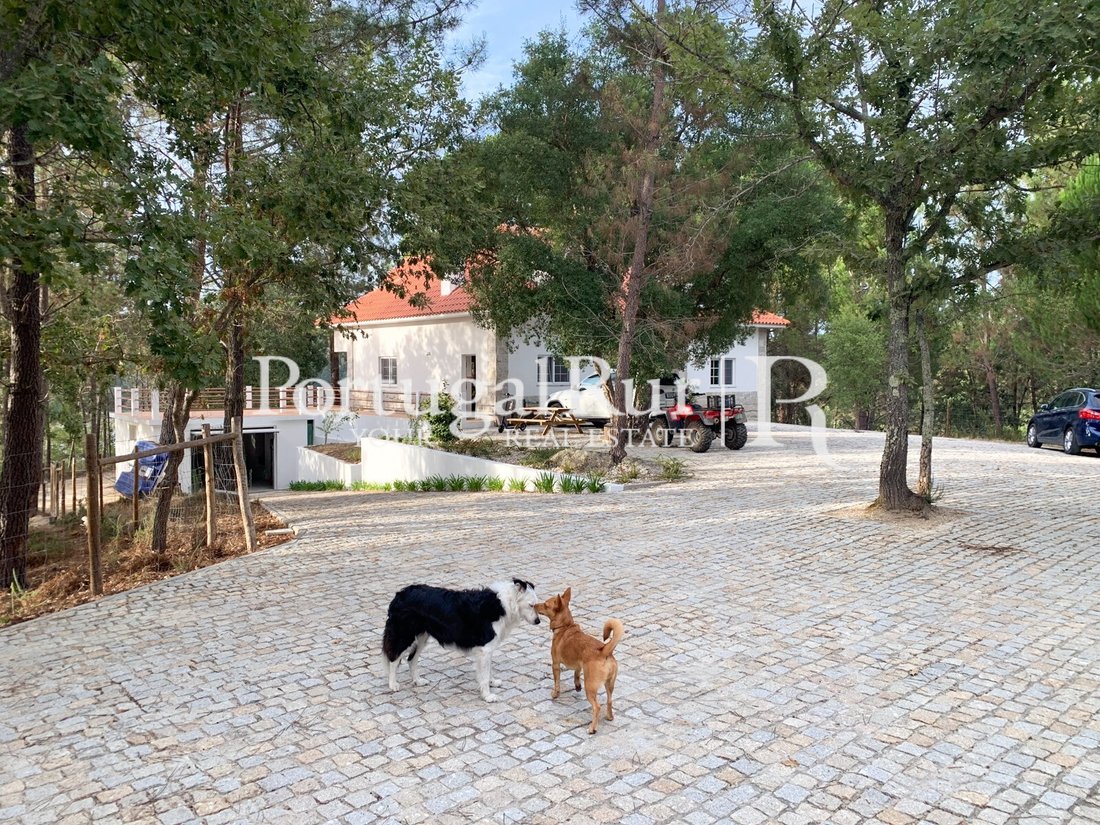 Finca en Ovoa e Vimieiro, Distrito de Viseu, Portugal 5 - 13224450