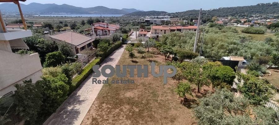 House in Anavissos, Attica, Greece 1 - 16823627