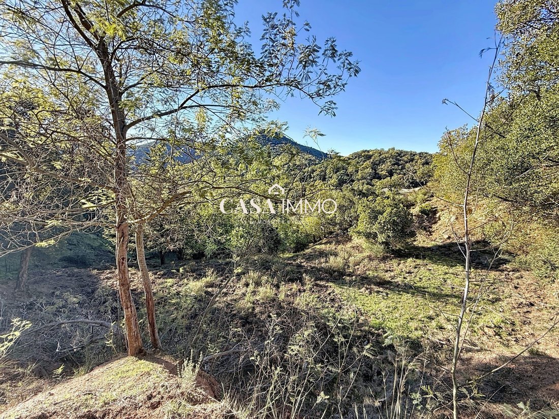 Land in Exterieurs, Frejus, France 4 - 16827459