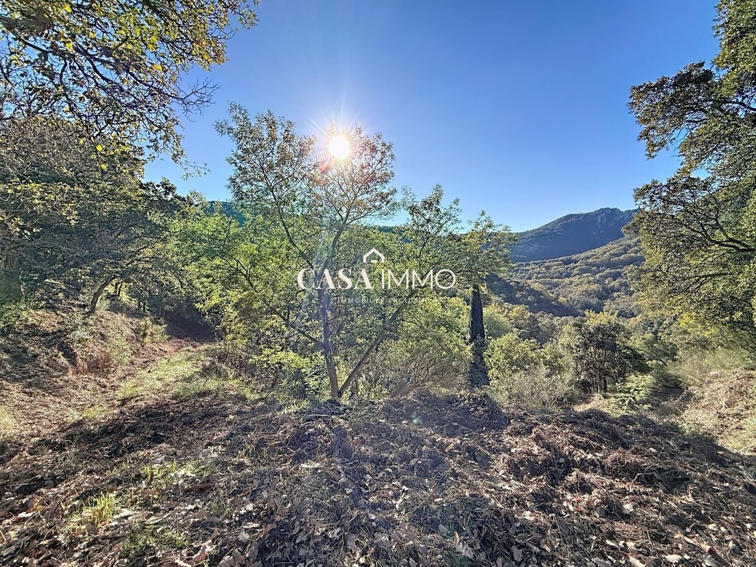 Land in Exterieurs, Frejus, France 5 - 16827459