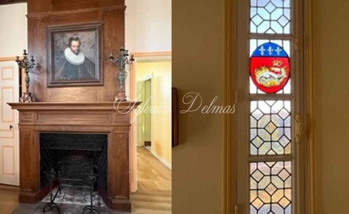 Castle for Sale in Amboise, Centre-Val de Loire, France