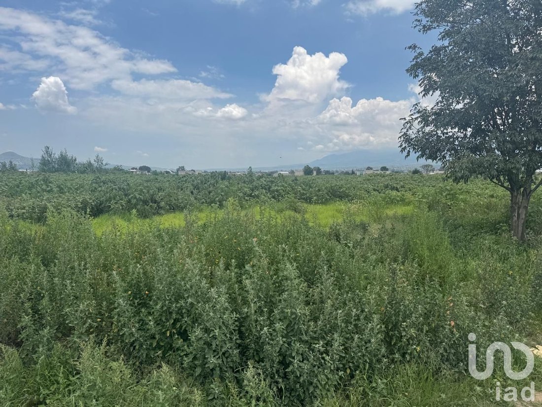Land in Paraje Altamirano, State of Mexico, Mexico 4 - 16825562