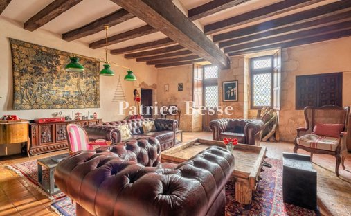 Castle for Sale in Tours, Centre-Val de Loire, France