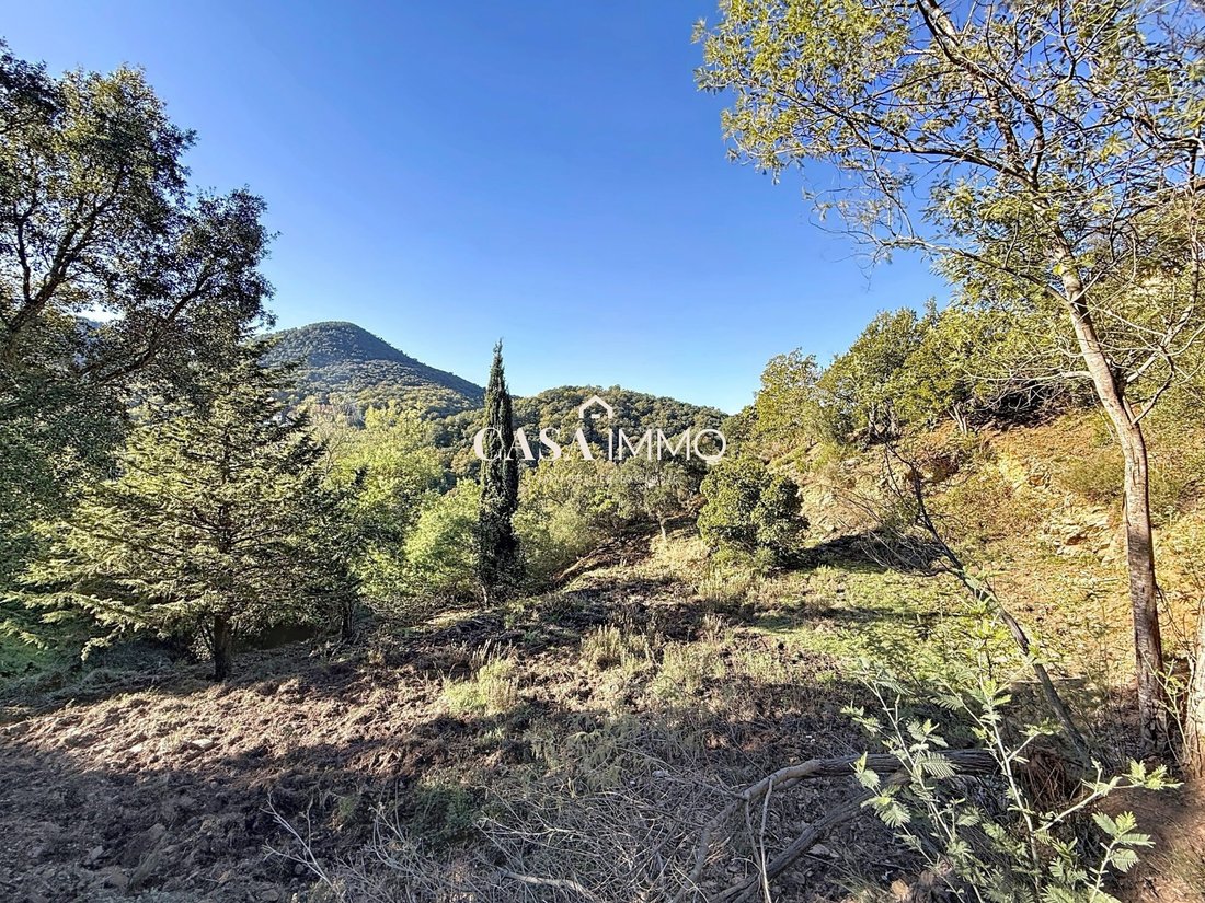 Land in Exterieurs, Frejus, France 2 - 16827459