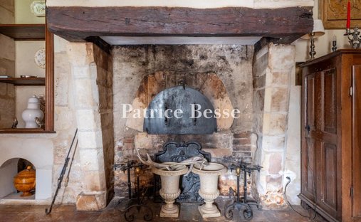 Castle for Sale in Tours, Centre-Val de Loire, France