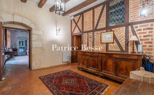 Castle for Sale in Tours, Centre-Val de Loire, France