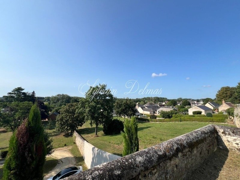 Castle in Centre, Amboise, France 3 - 16825448